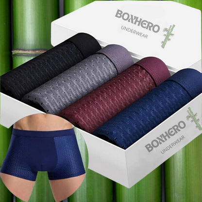 10 Pack Bamboo Fiber Boxer